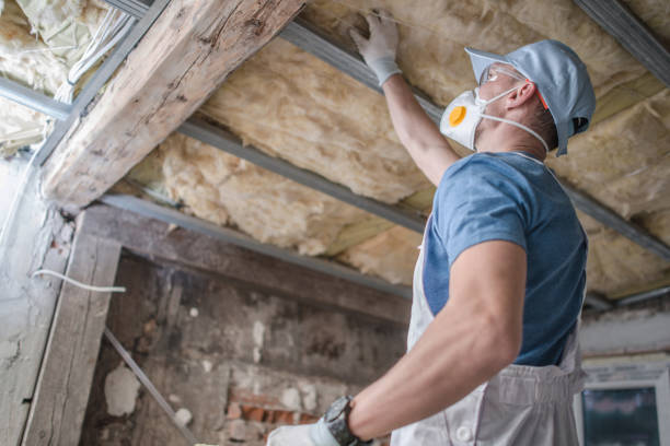 Best Specialty Insulation in Andrews Af, MD